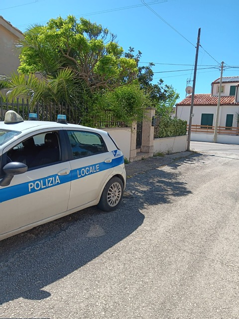 Cani sporcaccioni per strada, la polizia locale di Modica sanziona i proprietari