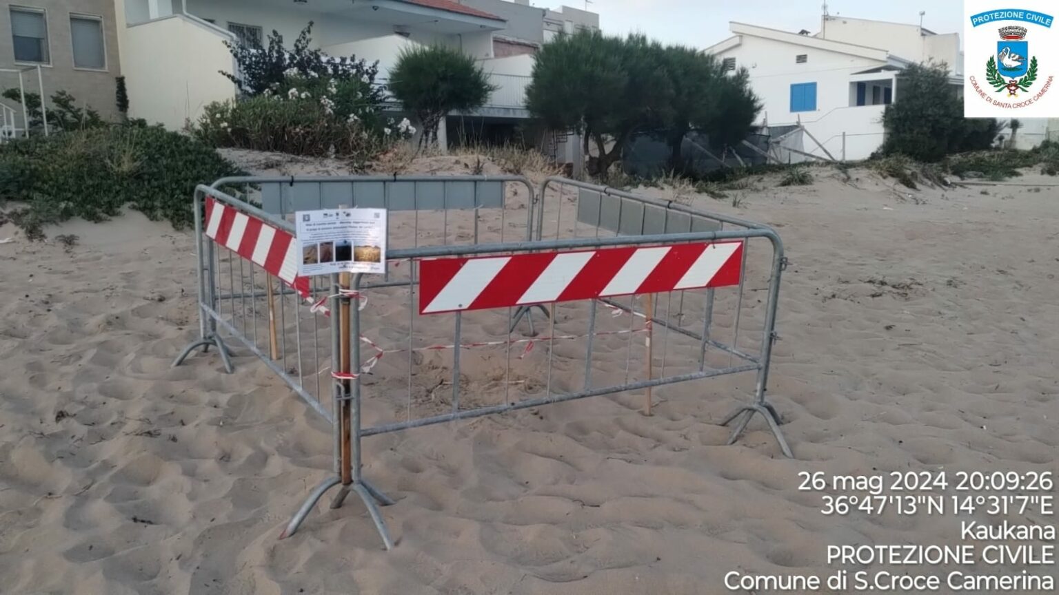 A Santa Croce Camerina il secondo nido di tartarughe censito in Sicilia