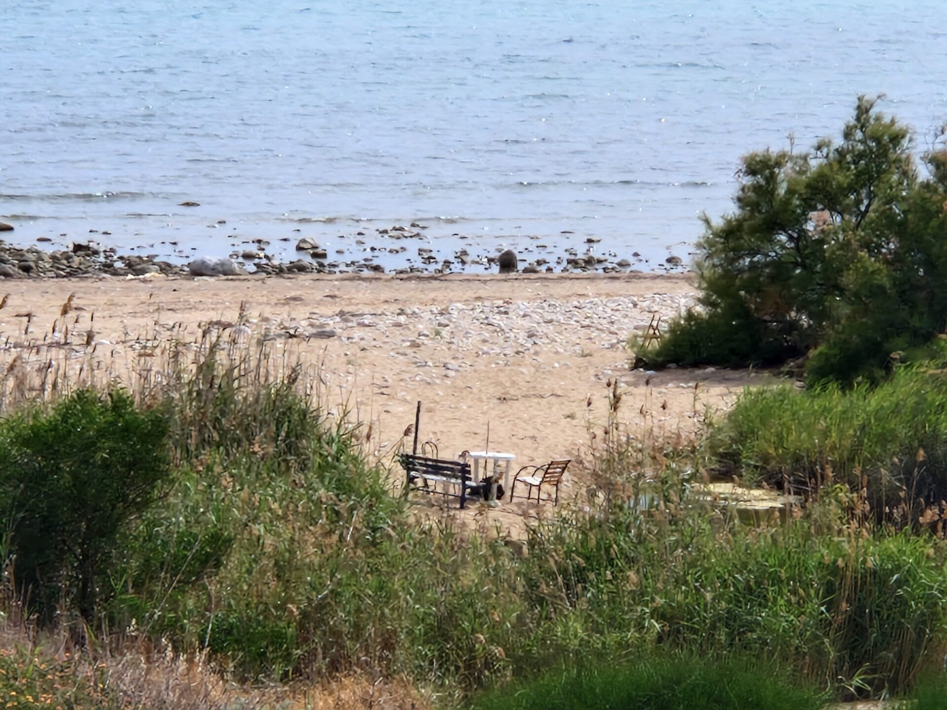 Bisboccia sulla spiaggia di Punta di Mola: residenti preoccupati dal degrado