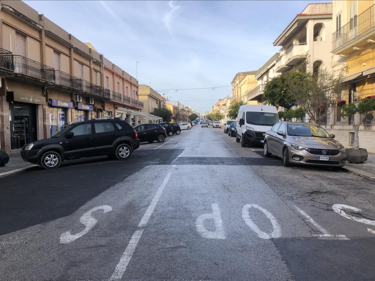 Ispica e la strage degli oleandri denunciata dal Partito Democratico