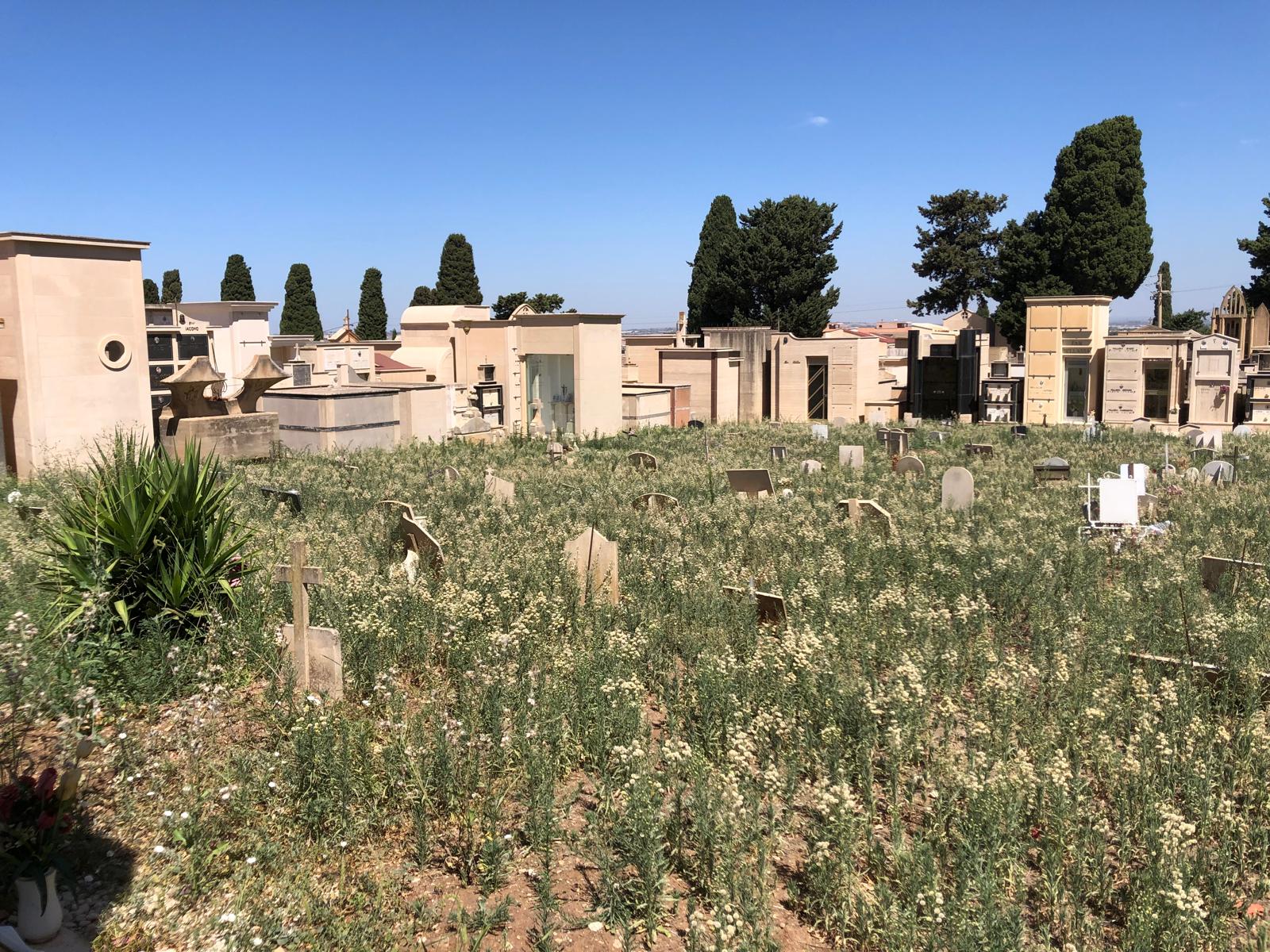 Comiso, il cimitero è abbandonato. Salvo Liuzzo:” Sembra la foresta amazzonica”