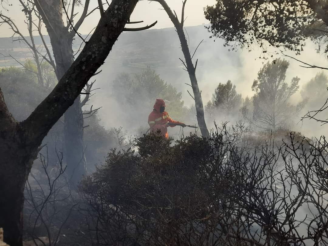 Fuoco nella riserva dei Pini d’Aleppo a Vittoria, lambito il depuratore
