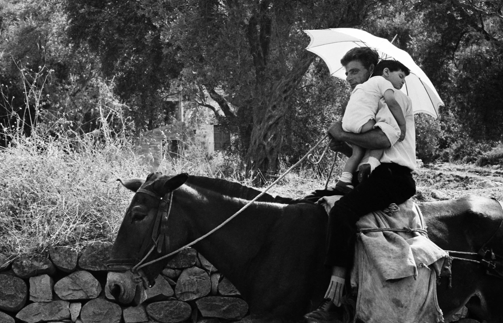 Dodicesima edizione del Ragusa Foto Festival, inaugurazione il 30 agosto al Giardino Ibleo