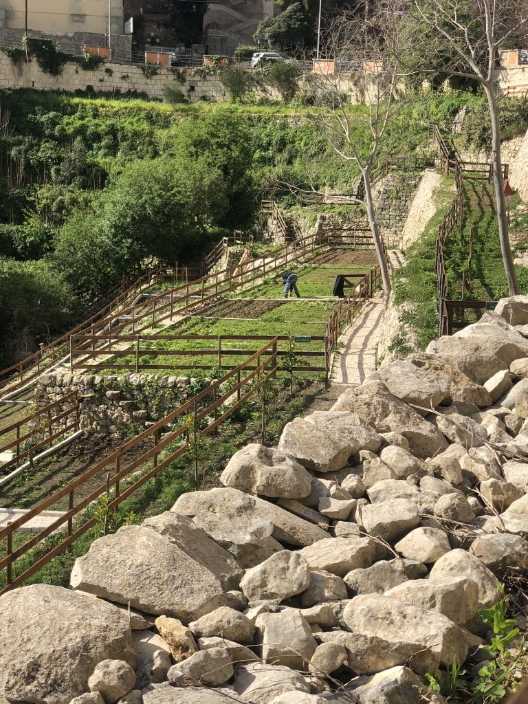 Ragusa: L’amministrazione comunale assegnerà 22 orti urbani, scadenza il 5 ottobre