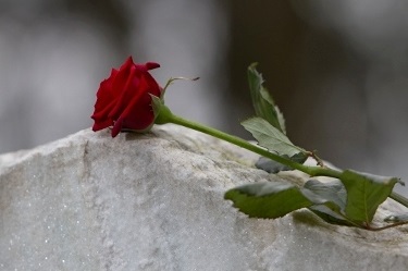 “Ecco perchè non posso portare un fiore sulla tua tomba”…lettera ad un defunto modicano
