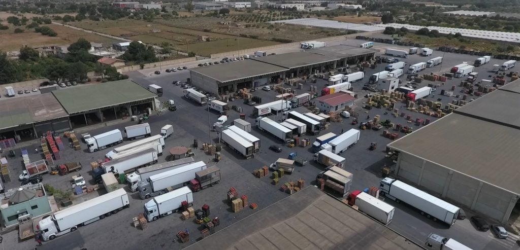 Vittoria Mercati: nominati i nuovi vertici del Consiglio di Amministrazione