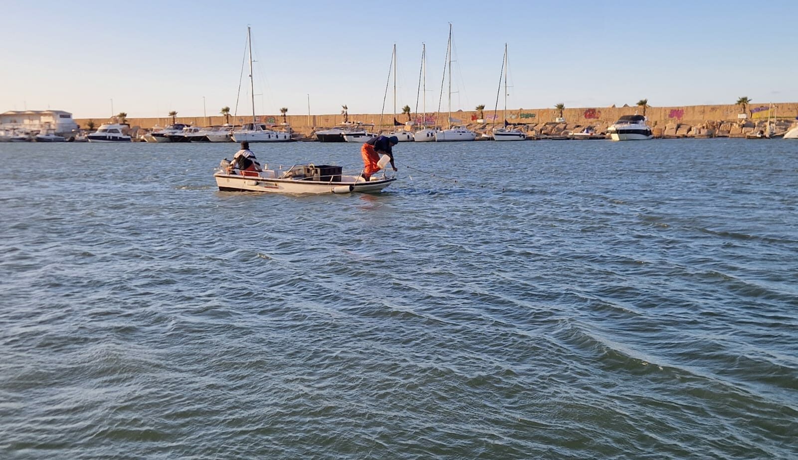 “Pesce illegale”: 125 chili di prodotto sequestrati dalla Guardia Costiera di Pozzallo