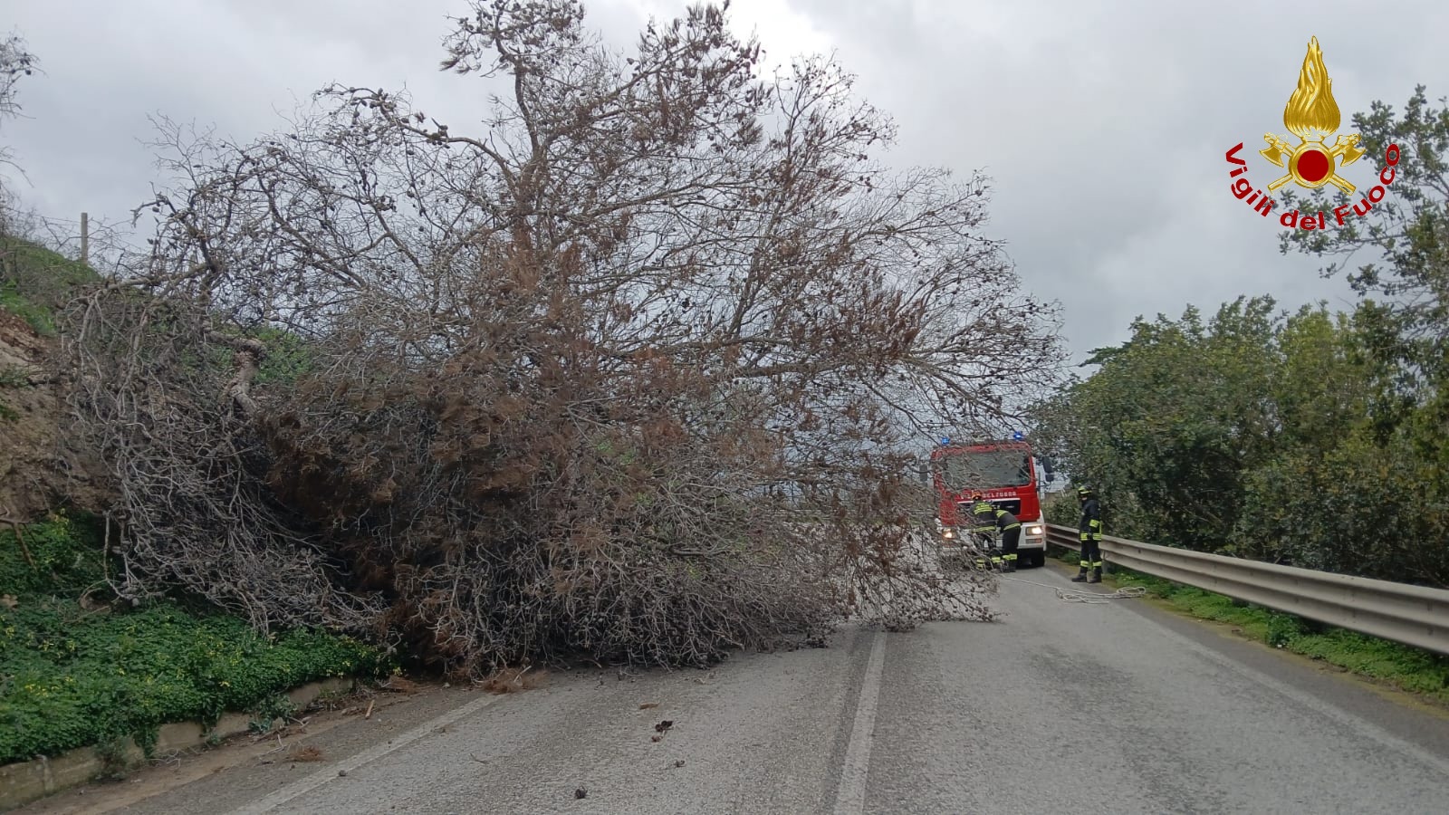 Maltempo: interventi dei Vigili del Fuoco in provincia per i danni causati dal forte vento (FOTO e VIDEO)