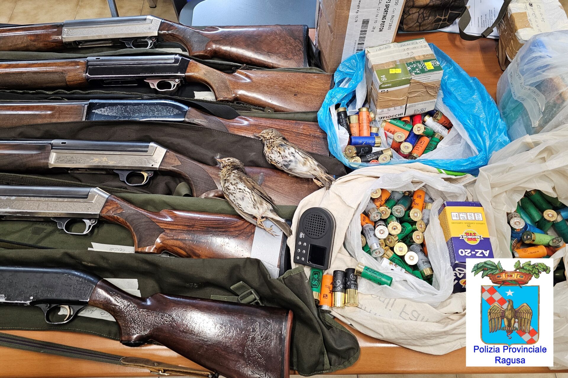 Sette bracconieri del catanese a caccia ad Acate: Polizia provinciale sequestra 6 fucili e 800 cartucce