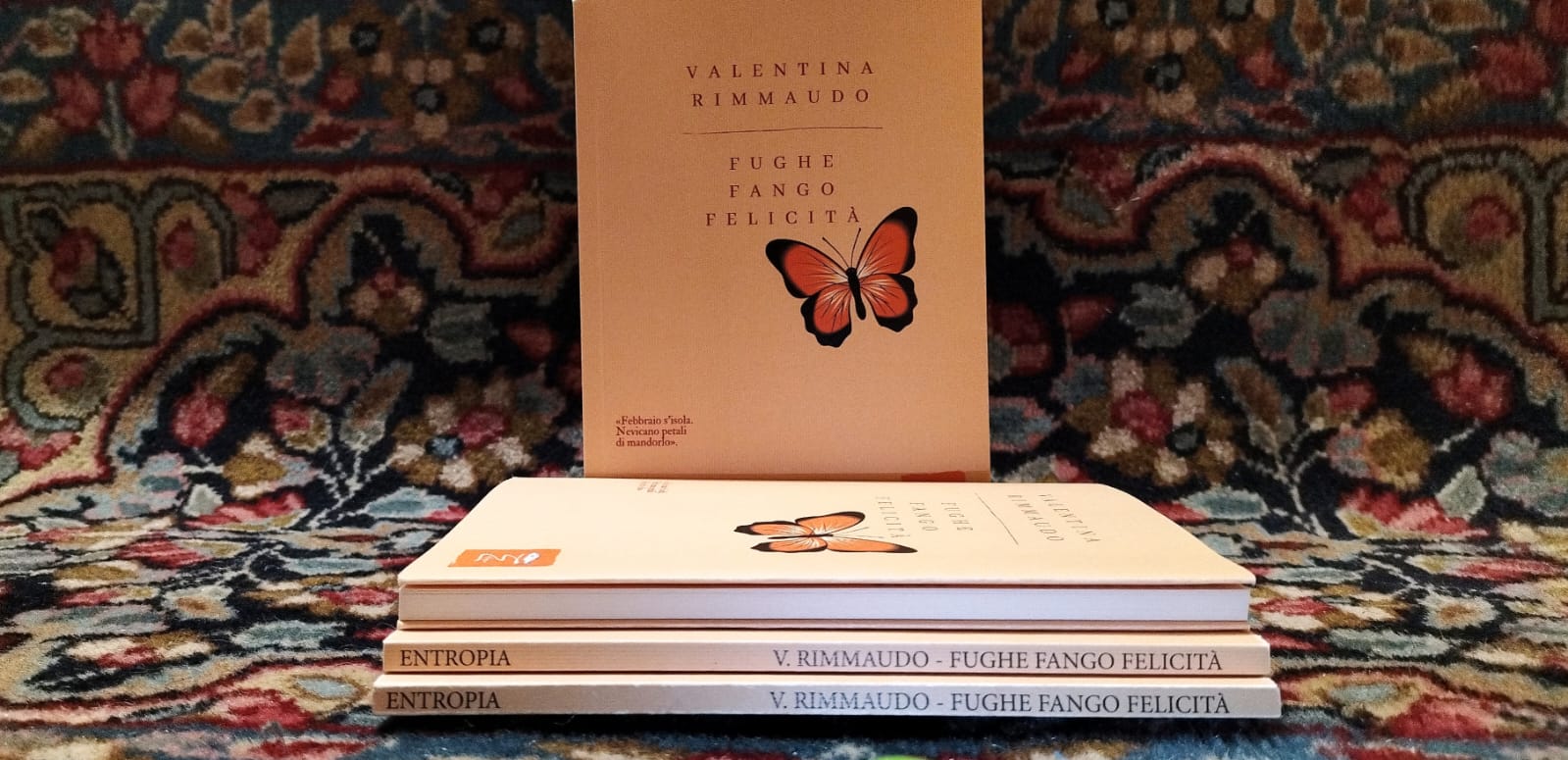 Comiso, si presenta il libro di Valentina Rimmaudo: “Fughe Fango Felicità”