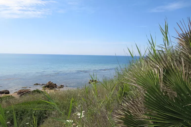 Regione, Consulta conferma divieto costruzioni entro 150 metri da mare