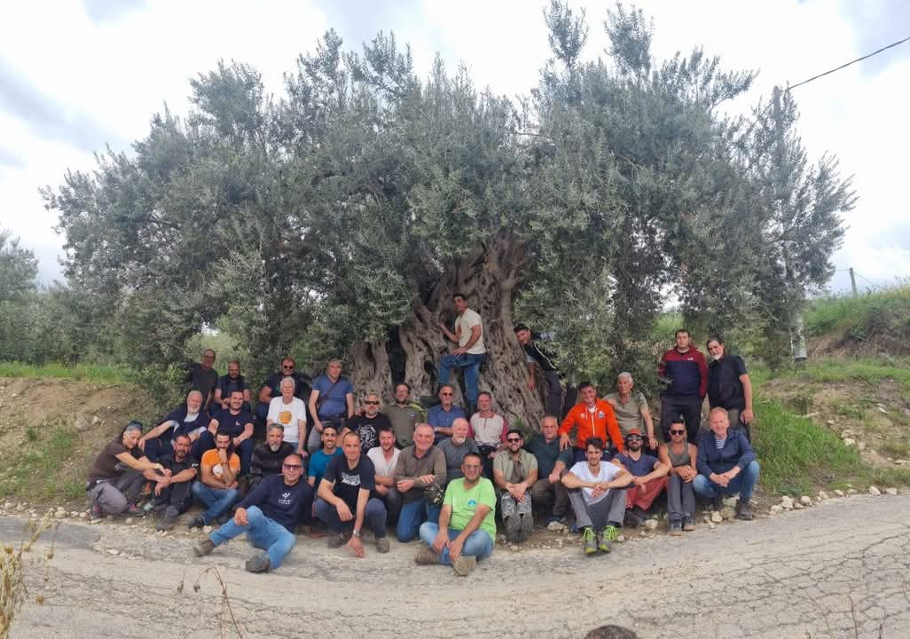 La potatura dell’olivo secondo il metodo del vaso policonico a Chiaramonte Gulfi: master concluso