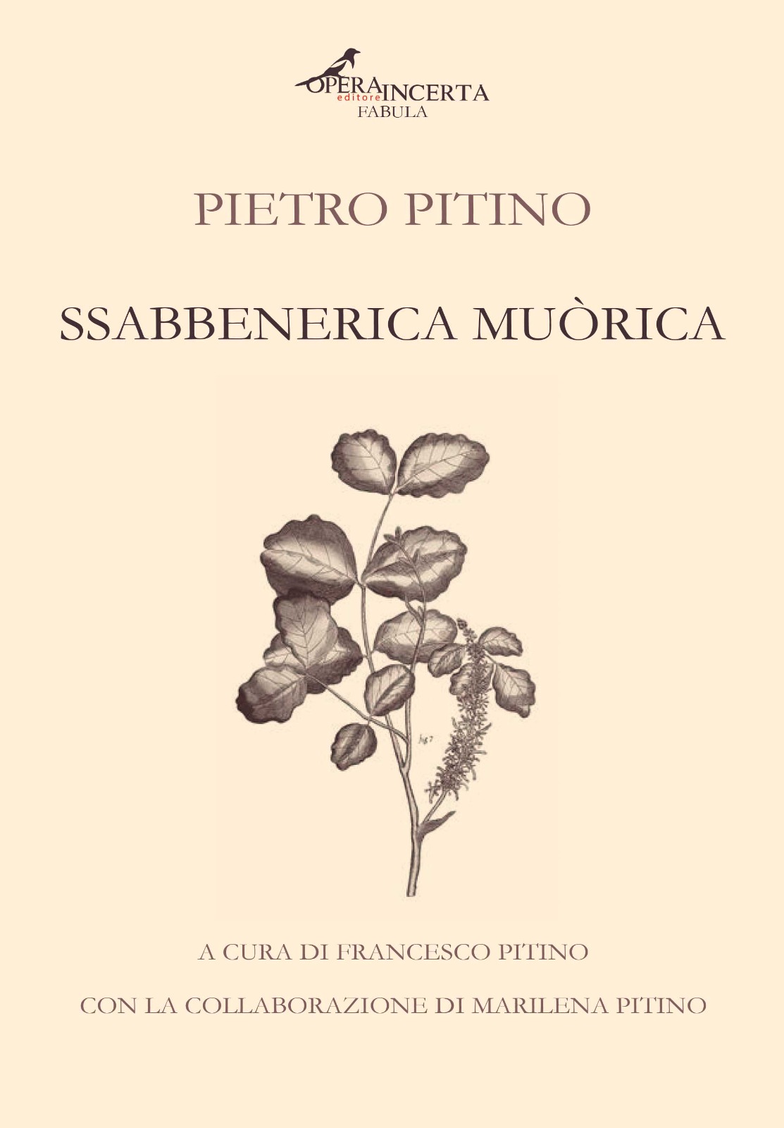 Oggi nell’Atrio Comunale, la presentazione in anteprima del libro SsabbenericaMuòrica