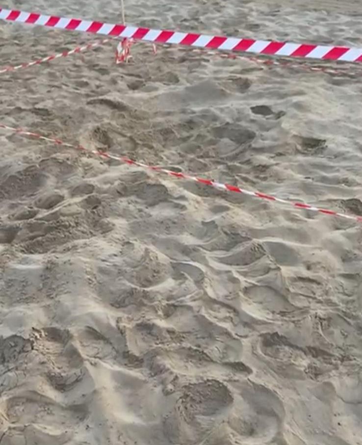 Caretta caretta depone 105 uova a Marina di Modica: si schiuderanno tra 60 giorni