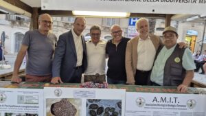 Chiaramonte Gulfi, trovato un tartufo nero di ben 800 grammi (Video)