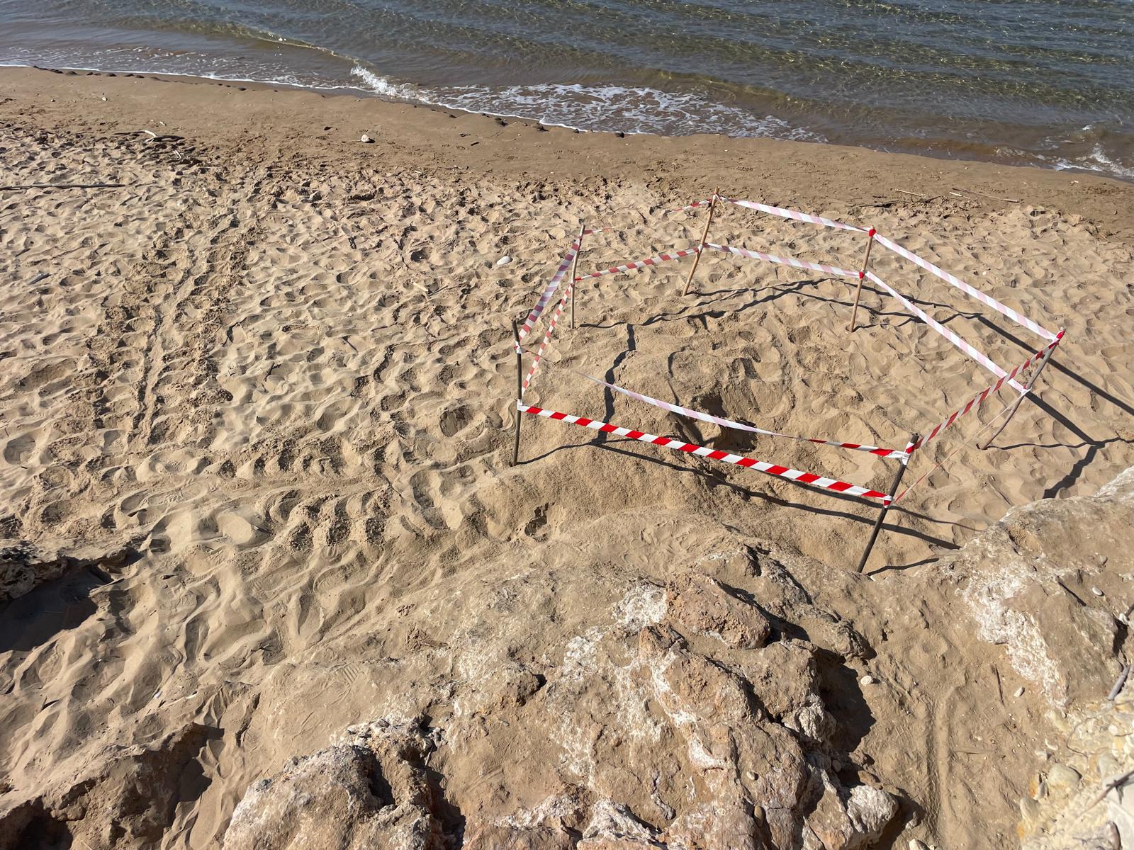 Riserva Naturale Fiume Irminio, rinvenuto un nido di Caretta Caretta: “Evento straordinario”