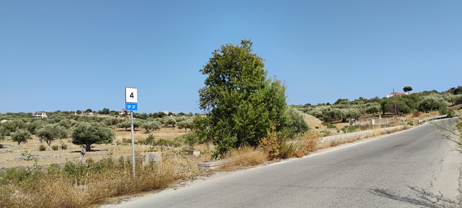 Pastore ferito a fondo Oliva, colpito nell’oscurità da bracconieri a caccia di cinghiali
