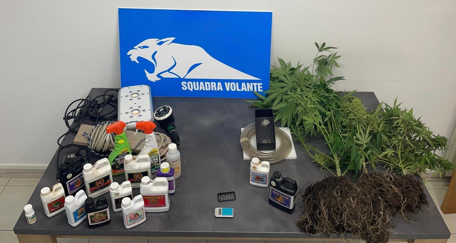 Modica: arrestato dalla Polizia, 30enne per coltivazione di sostanze stupefacenti