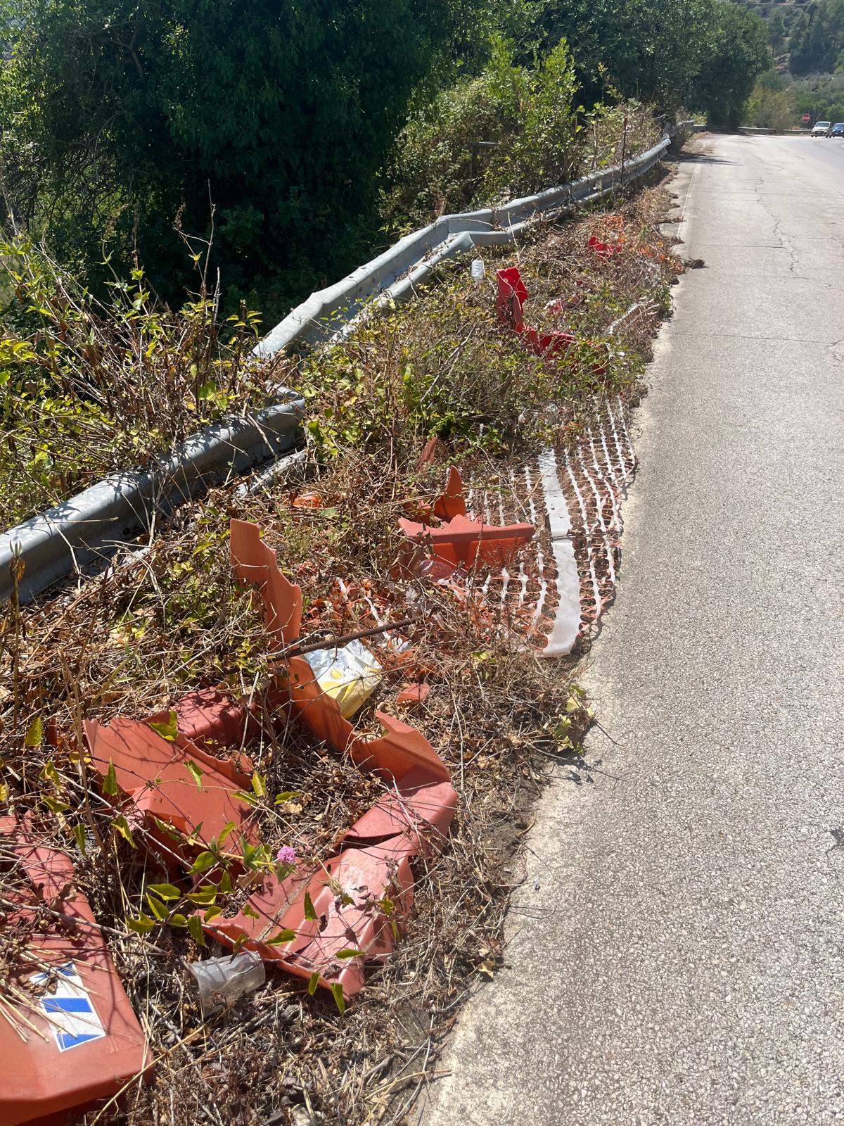 Ragusa, degrado lungo la Ss 115: la denuncia della consigliera Caruso