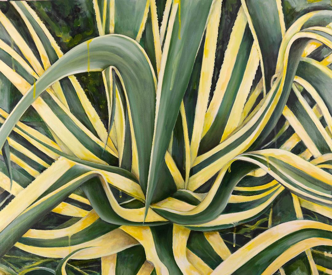 Alla galleria SACCA di Modica dal 13 settembre, “La natura morta nell’arte contemporanea”