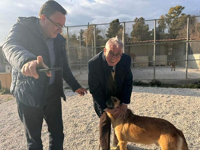 Vittoria, finalmente autorizzato il canile di Contrada Carosone