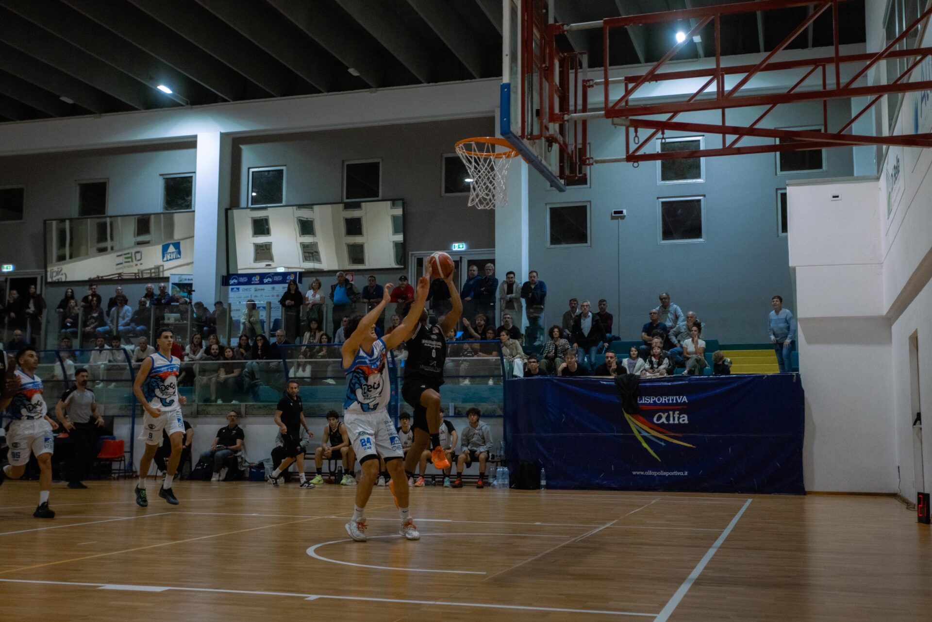 Basket, la Scicli Meerkat cede solo nel finale contro la capolista