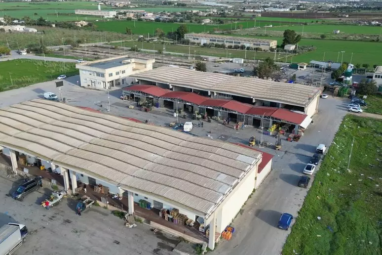 Noras sequestra 12.000 kg di ortaggi non tracciati a Comiso