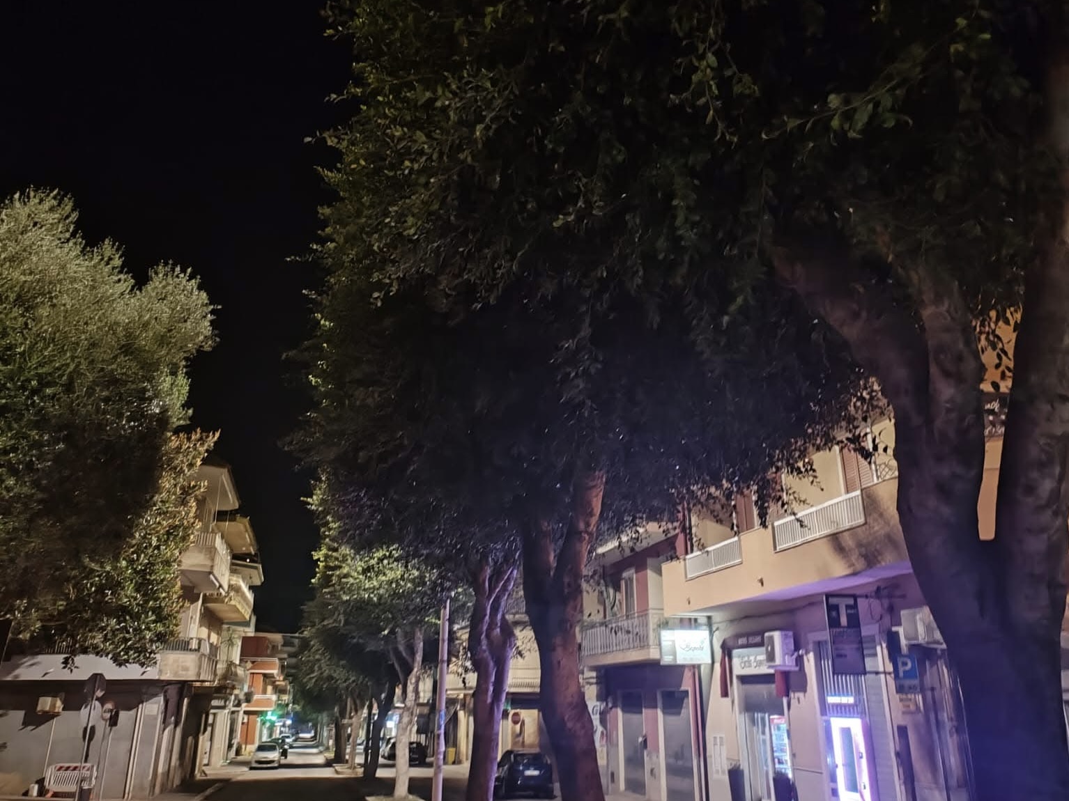L’opposizione a Pozzallo chiede interventi straordinari sul verde pubblico