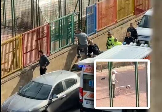 Bambina ferita per difendere il suo cane: paura a Vittoria per l’attacco di un pitbull