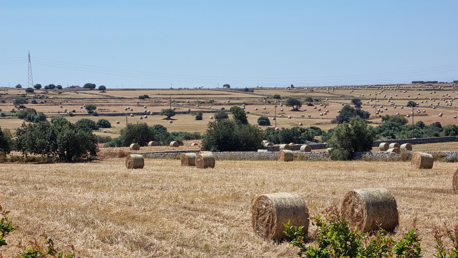 Piattaforma Strategica “Ragusa Rurban City”, lo sviluppo territoriale tra città e campagna