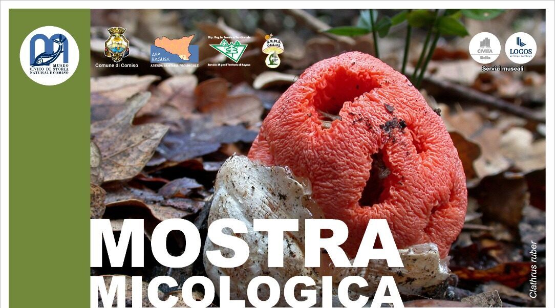 Torna la Mostra micologica al Museo Civico di Storia naturale di Comiso