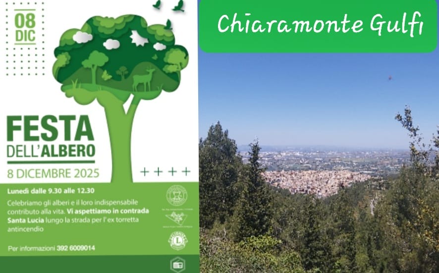 Chiaramonte Gulfi celebra la settima “Festa dell’albero”, un rito antico che unisce bambini e natura