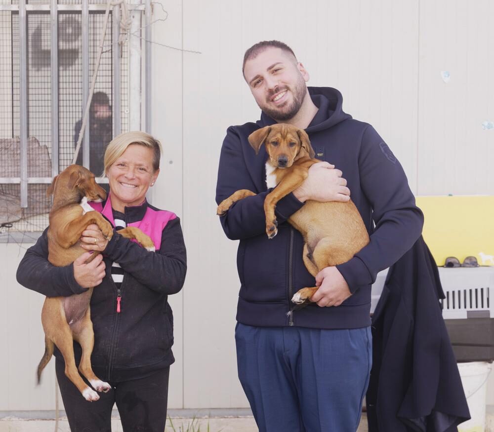 “Non comprarlo, adottalo”: l’appello del Comune di Modica per i cani del rifugio sanitario