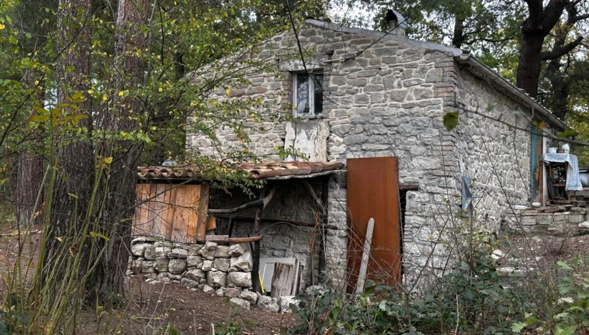 Palmoli, la famiglia della foresta: quando la libertà incontra la legge
