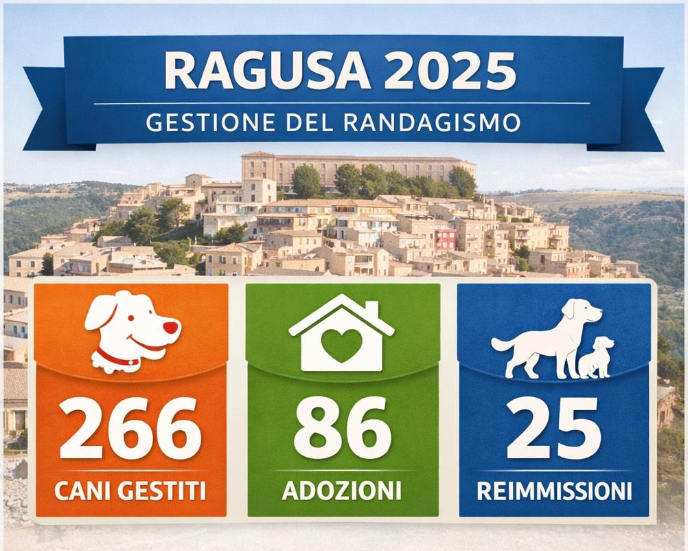 Ragusa cambia passo sul randagismo, adozioni quasi raddoppiate in un anno