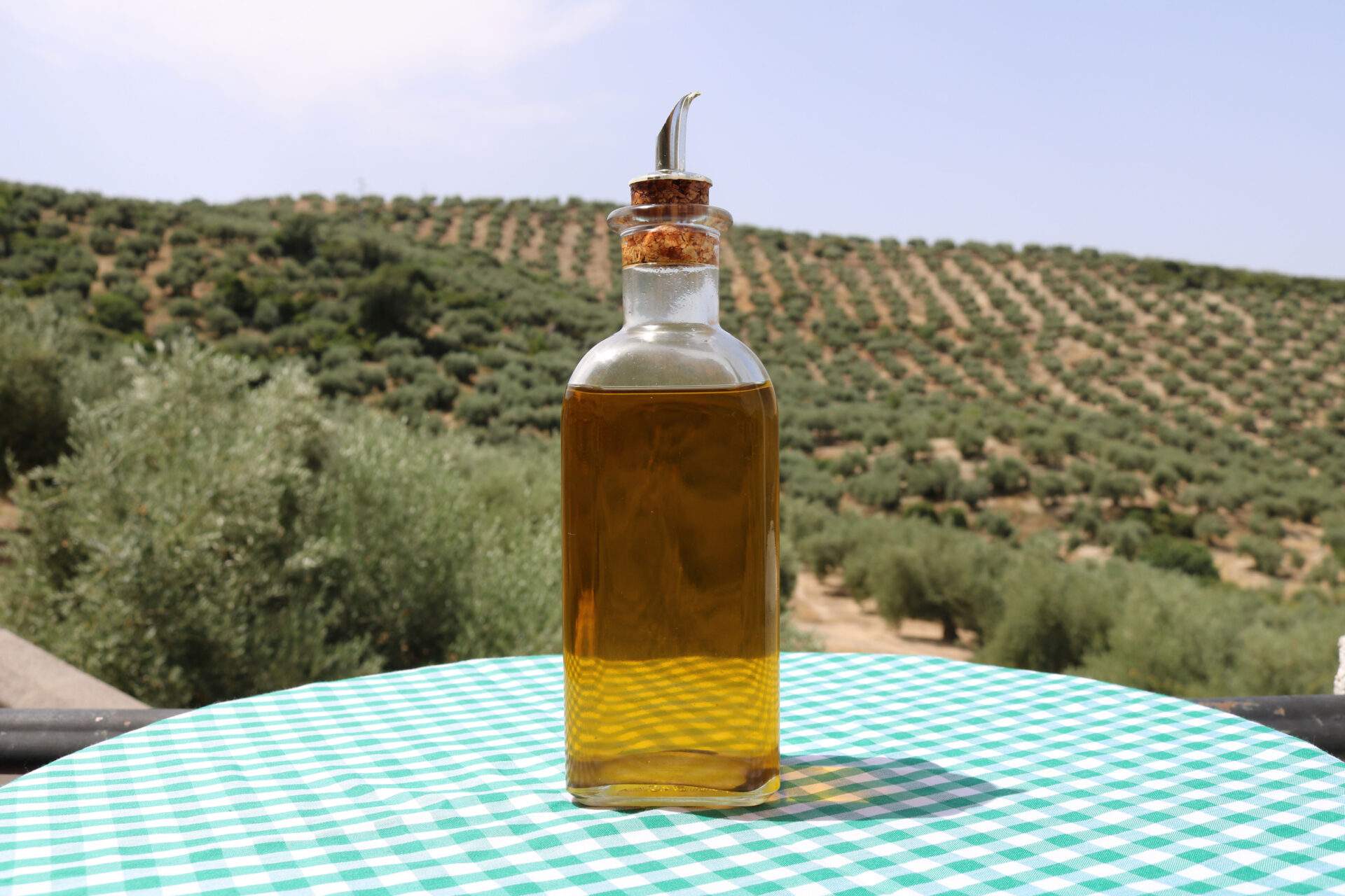 Olio Dop Monti Iblei nel direttivo del Distretto del Cibo della Siclia
