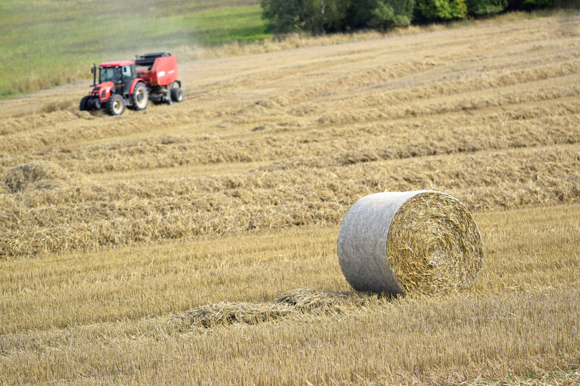 A Ragusa la formazione che guarda al futuro dell’agricoltura