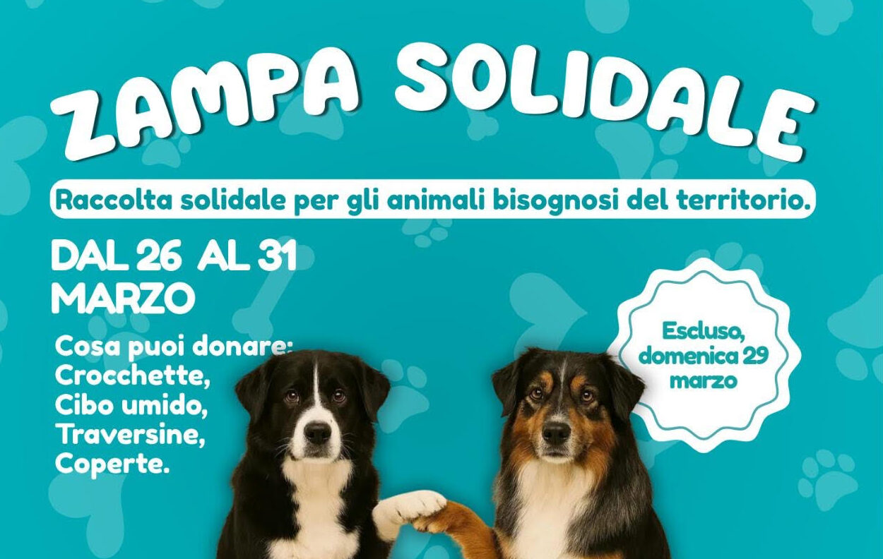 Ragusa, va in scena “Zampa Solidale”, l’iniziativa per i migliori amici dell’uomo