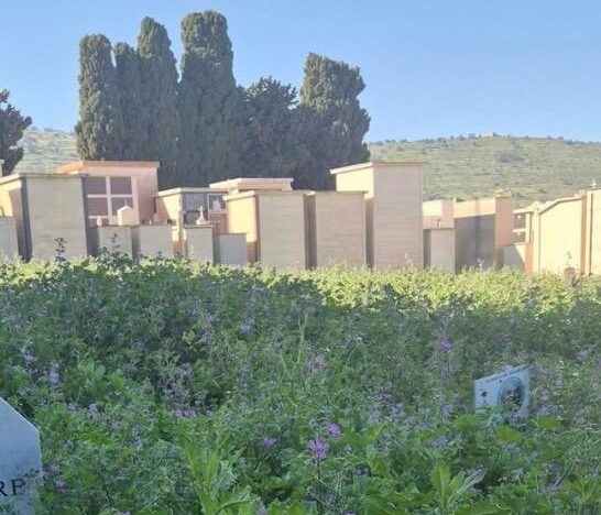 Comiso, interrogazione del Pd sul degrado del cimitero comunale