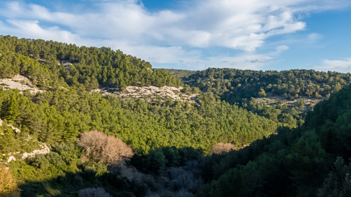 Parco degli Iblei: una storia di rinvii e resistenze