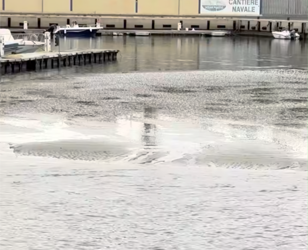 Dragaggio del porto piccolo di Pozzallo, il sindaco chiede accesso agli atti